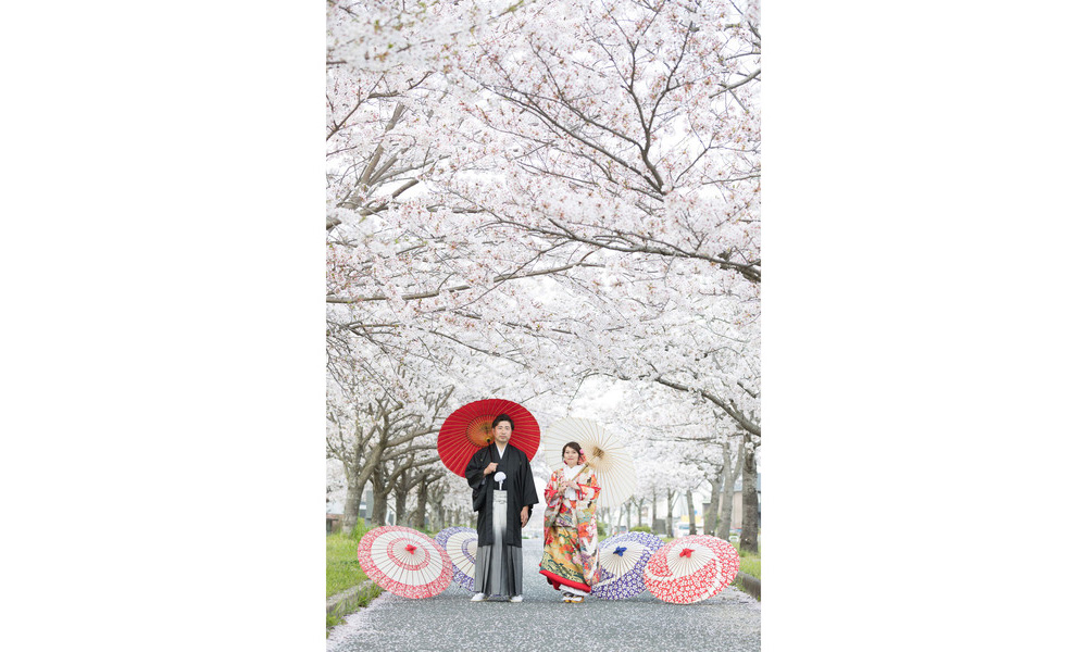 スーパーカメラマン大川さん　ファシーノ　和装前撮り　桜　ファシーノ