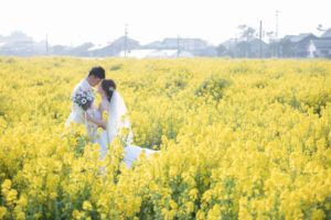 糸島で菜の花の洋装ロケーション前撮り　フォトウェディング　ウェディングドレス