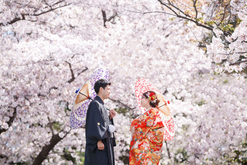 桜の舞鶴公園にて和装前撮りロケーション撮影　色打掛　スーパーカメラマン大川さん