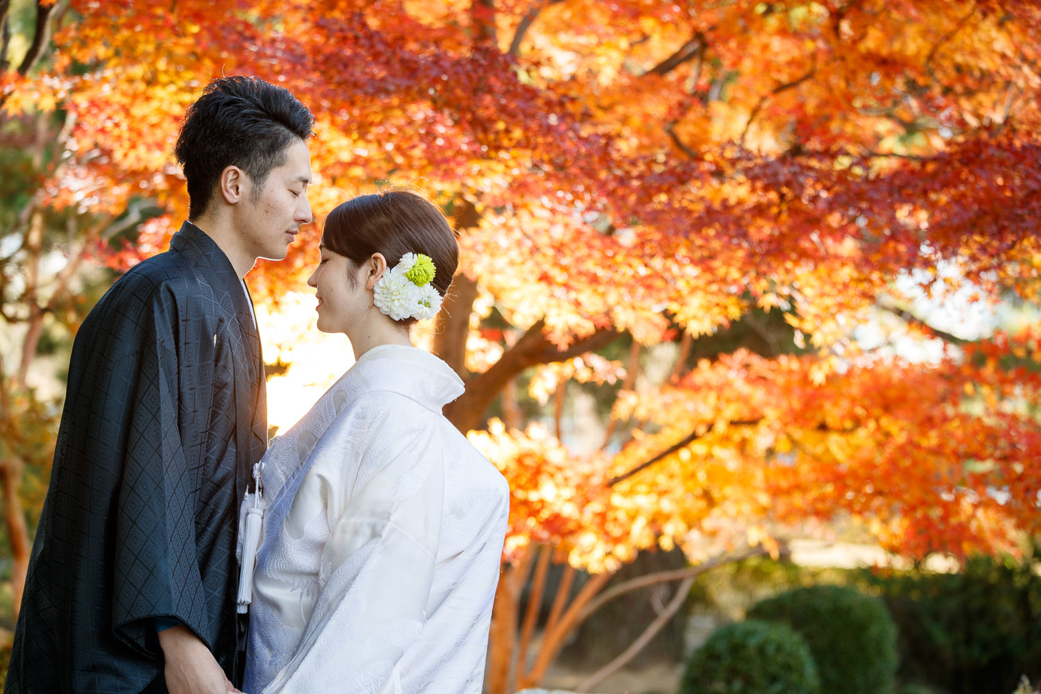 紅葉の大濠公園日本庭園で和装前撮り　白無垢　スーパーカメラマン大川さん