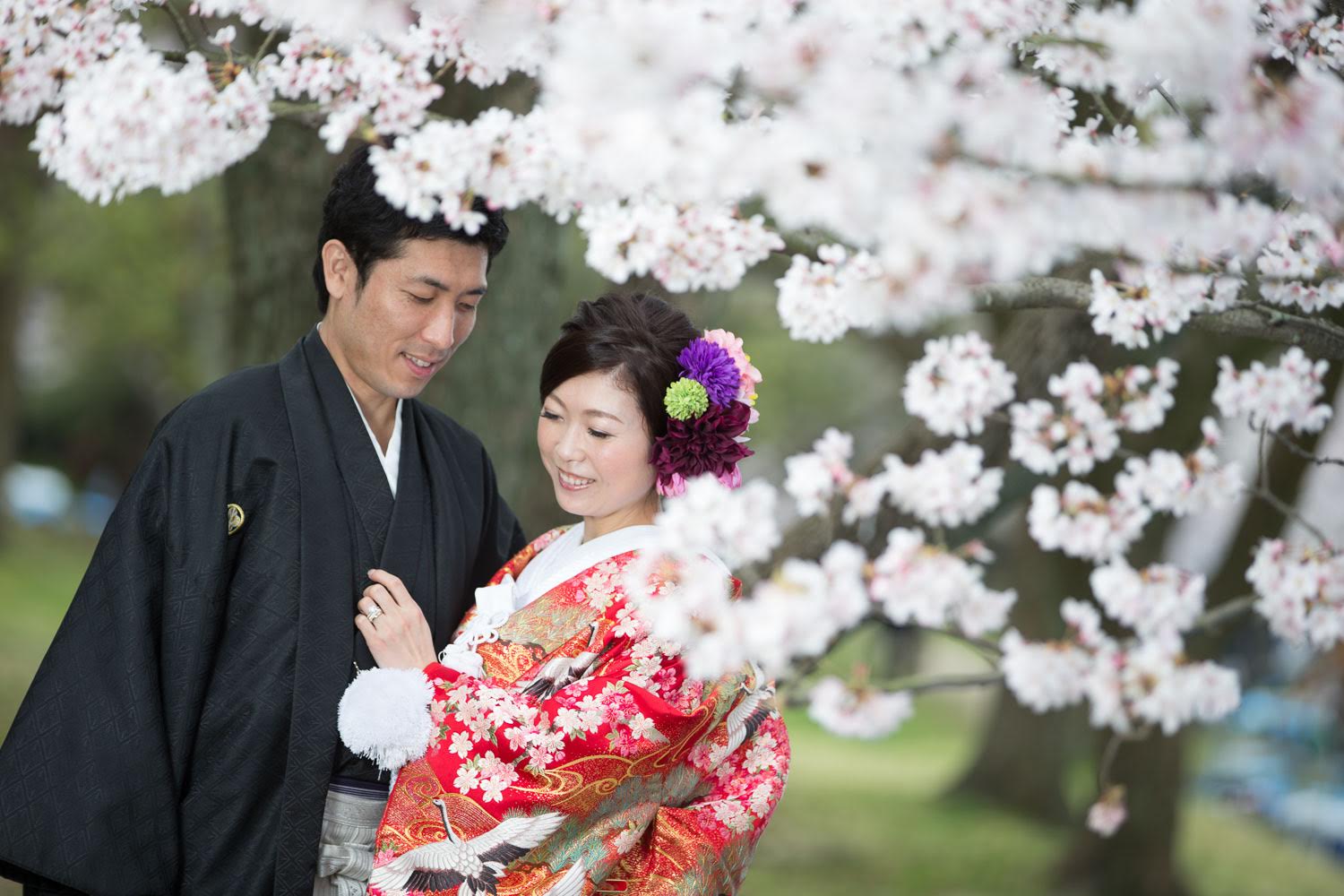 舞鶴公園 和装前撮り 桜 ロケーション 色打掛 紋付袴