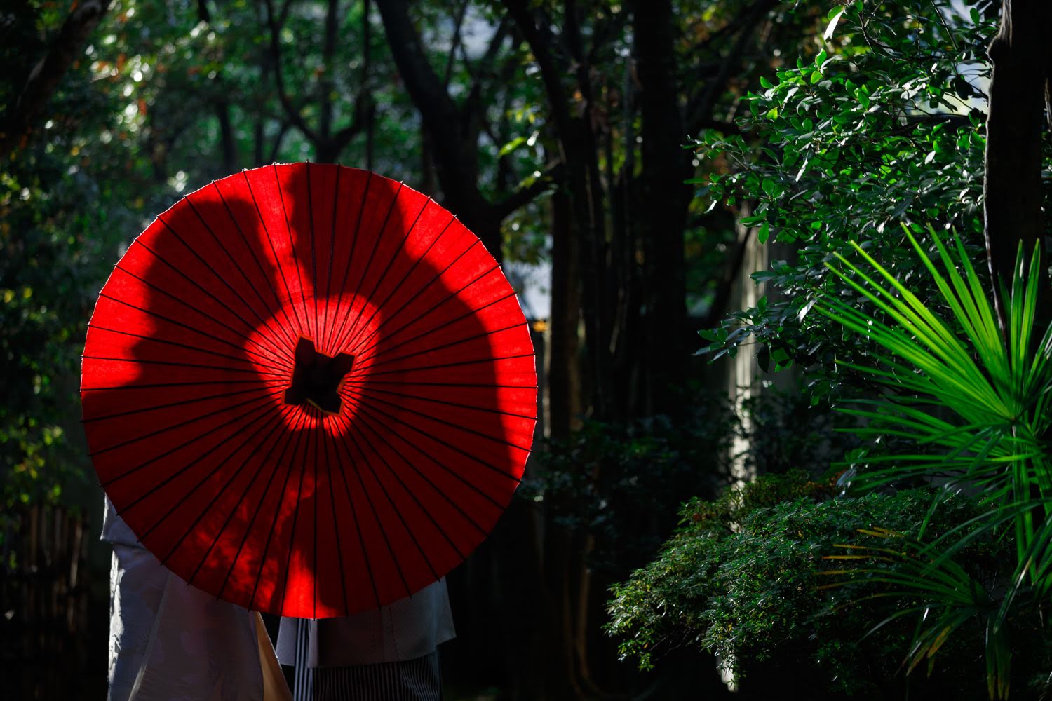 友泉亭公園 和傘 和装前撮り 日本庭園ロケーション 福岡
