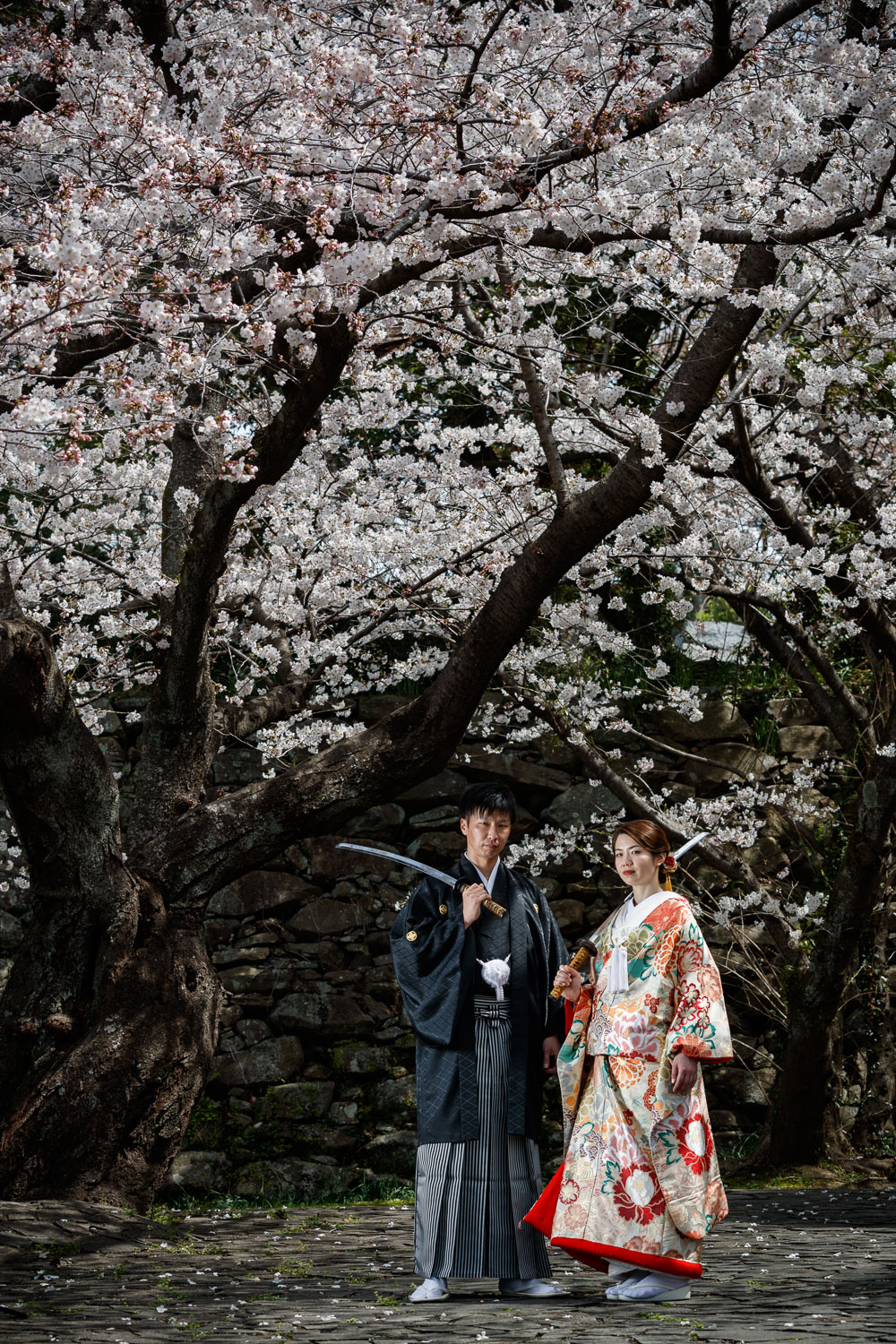 舞鶴公園 和装前撮り 桜ロケーション 色打掛 紋付袴 福岡
