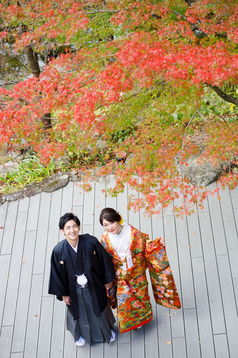 竈門神社 和装前撮り 紅葉ロケーション 色打掛 紋付袴 太宰府