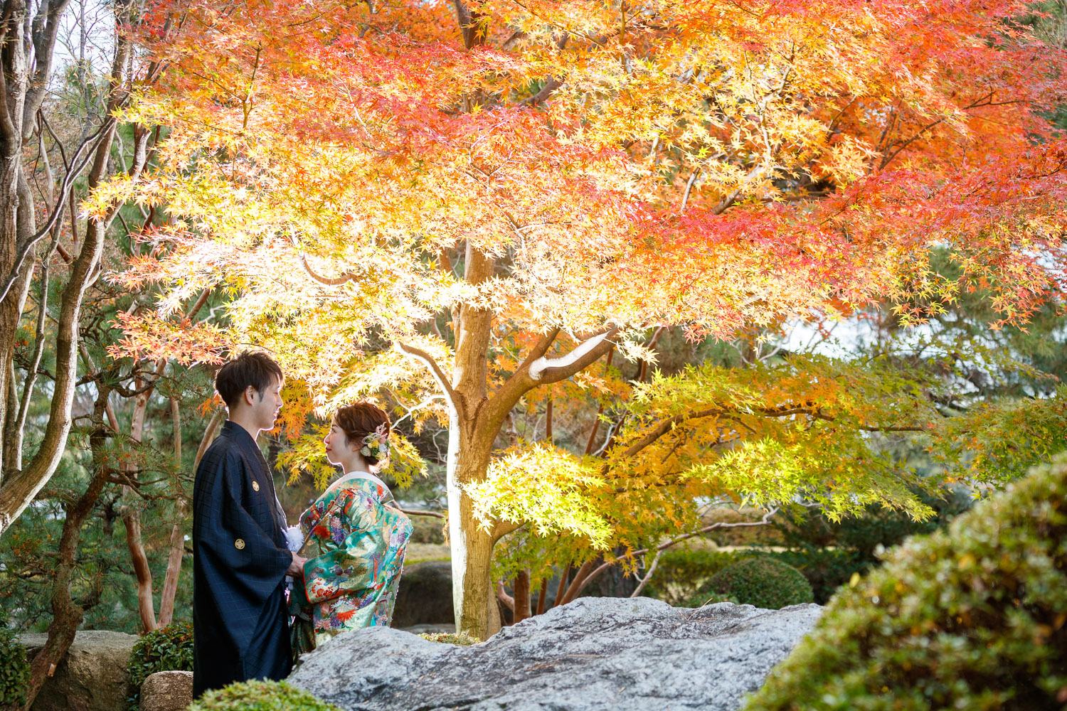 大濠公園日本庭園 和装前撮り 紅葉ロケーション 色打掛 紋付袴 福岡