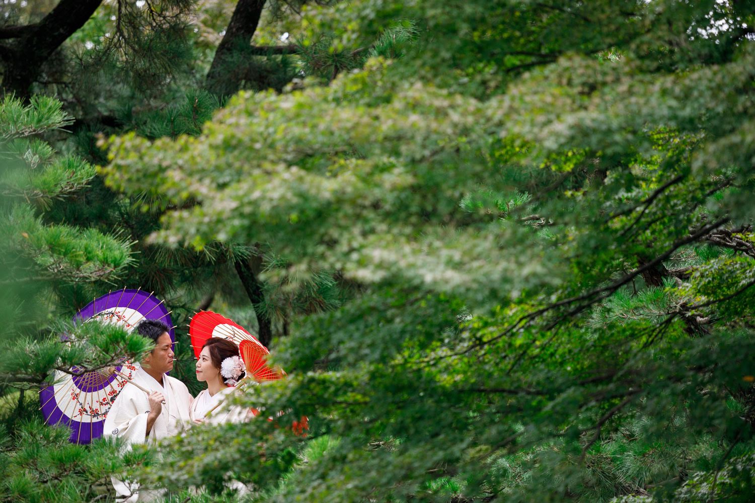 大濠公園日本庭園 和装前撮り 白無垢 紋付袴 和傘 新緑 ロケーション撮影 福岡