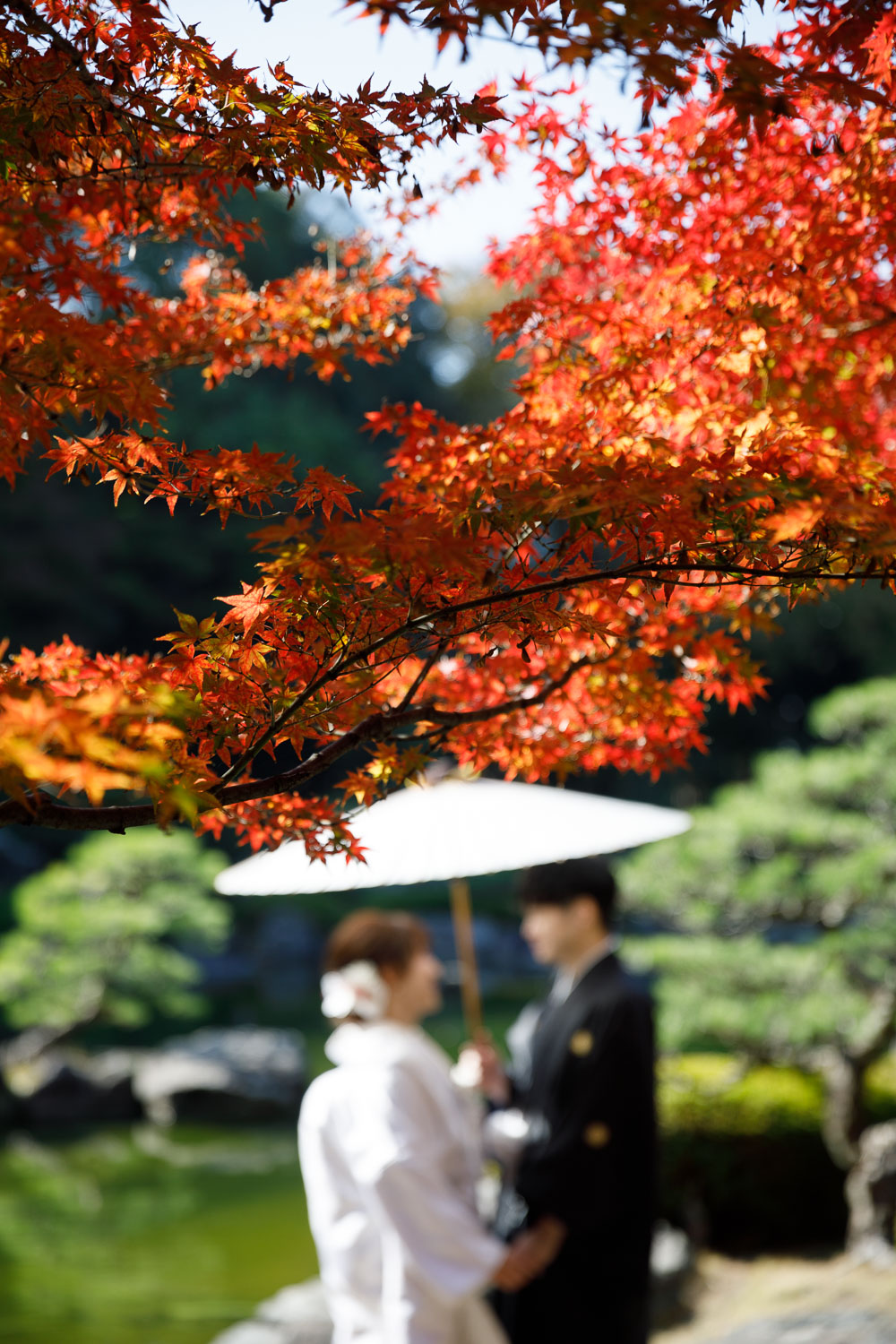 大濠公園日本庭園 和装前撮り 紅葉 ロケーション撮影 福岡