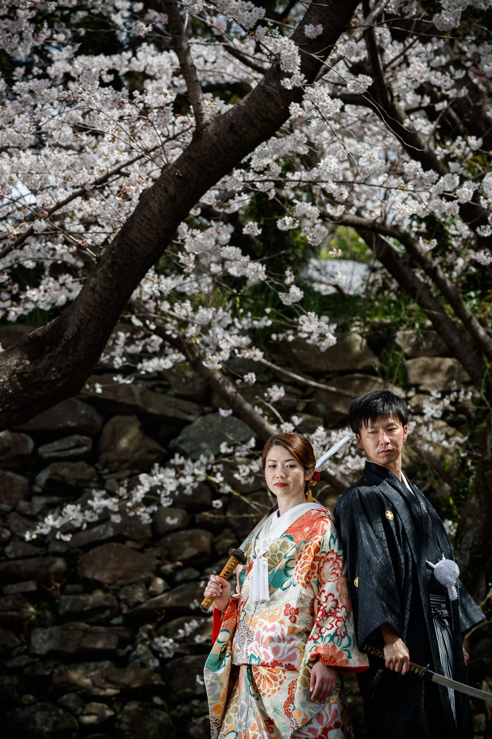 舞鶴公園 桜 和装前撮り 色打掛 フォトウェディング 福岡