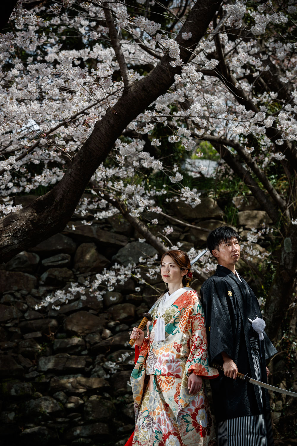 舞鶴公園 桜 和装前撮り 色打掛 フォトウェディング 福岡