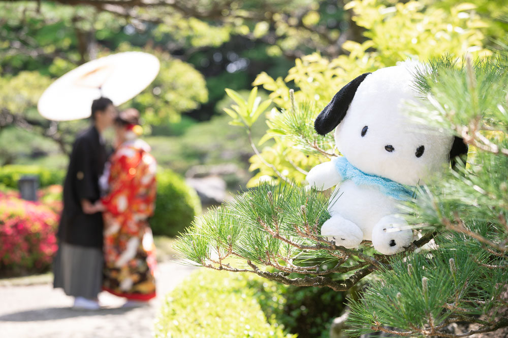 大濠公園日本庭園 和装前撮り 色打掛 日本庭園ロケーション 福岡