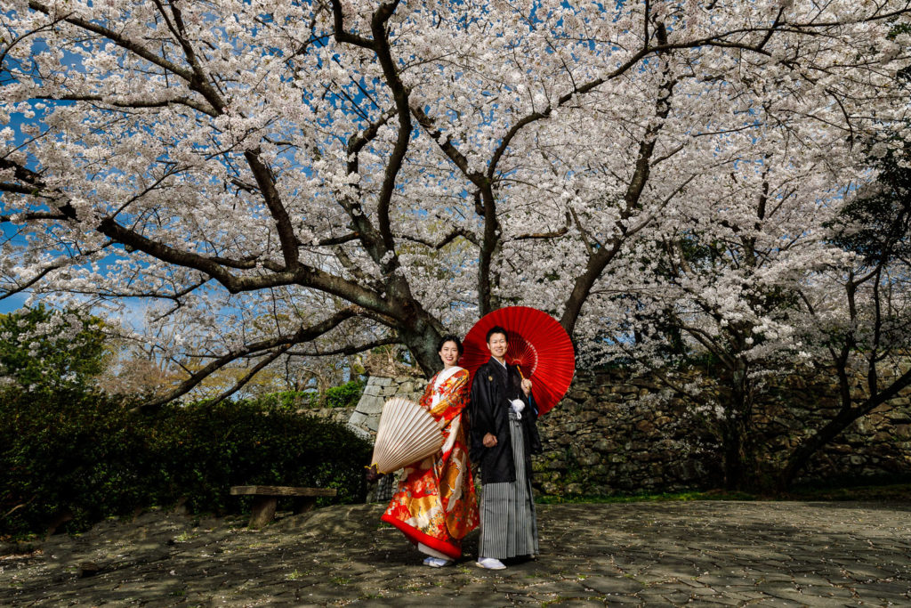 舞鶴公園 桜 和装前撮り 福岡ロケーションフォト 色打掛 フォトウェディング