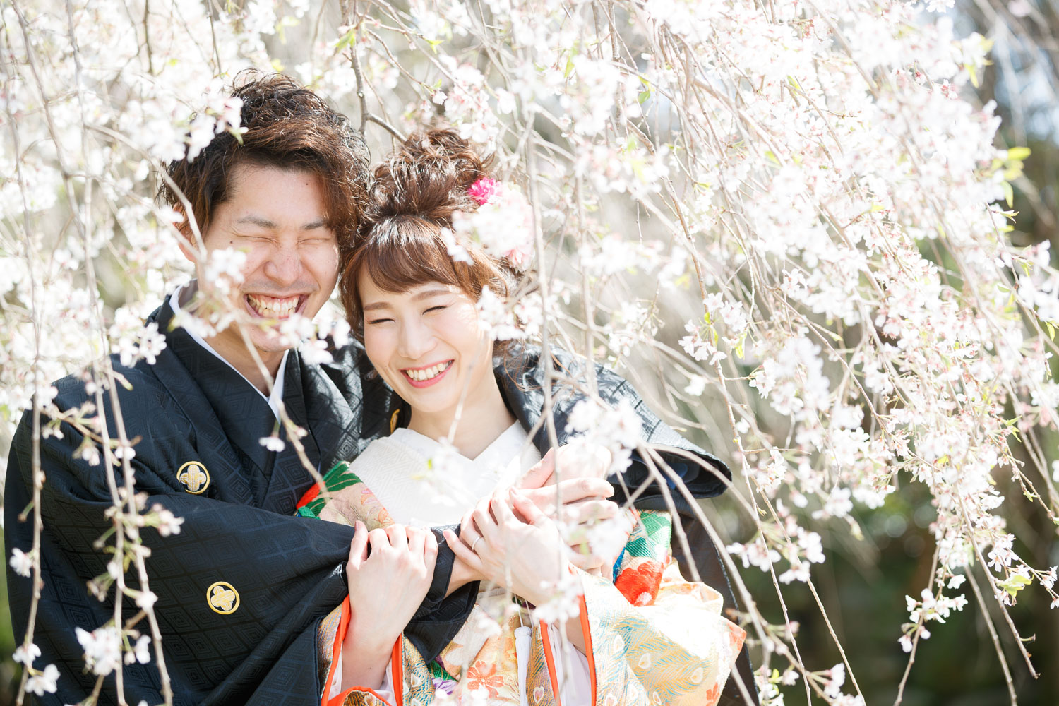 舞鶴公園 桜 和装前撮り 色打掛 福岡フォトウェディング ロケーション撮影