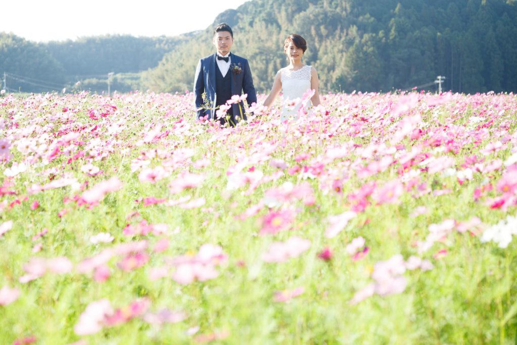 糸島 コスモス畑での前撮り ロケーションフォトウェディング 福岡