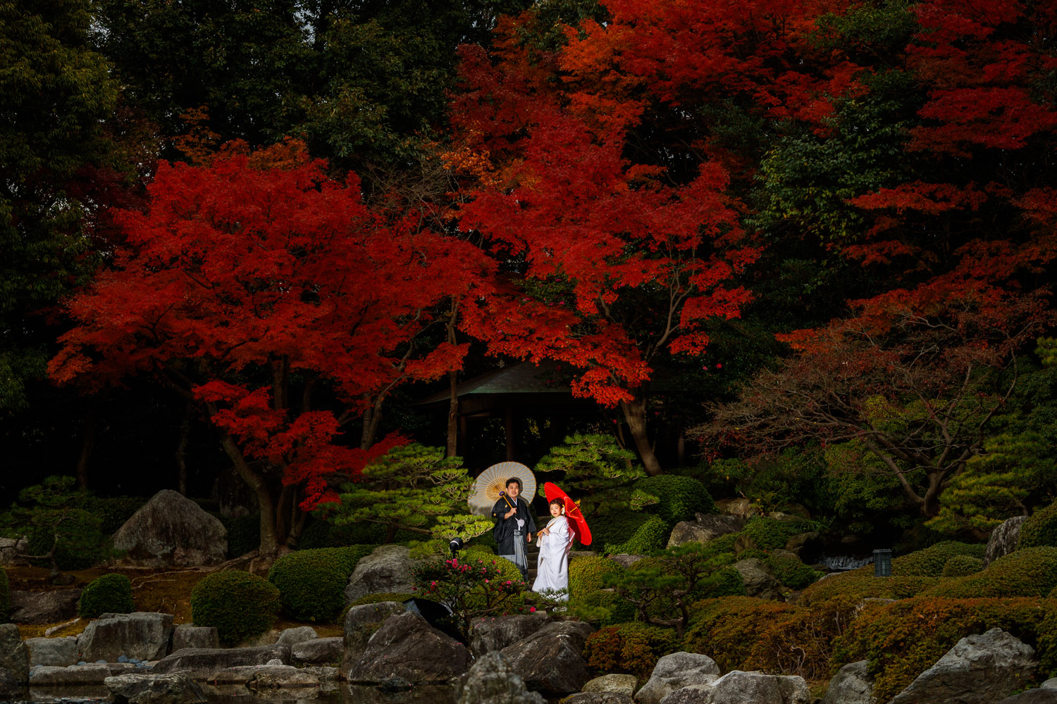 大濠公園日本庭園 紅葉 和装前撮り ロケーション撮影 福岡フォトウェディング