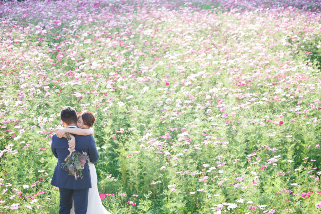 糸島 コスモス畑での前撮り 花畑ロケーションフォトウェディング