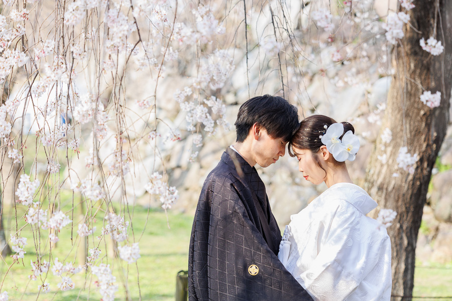 桜の下で撮影した和装の前撮り写真。福岡の桜ロケーションで撮影したブライダルフォト。